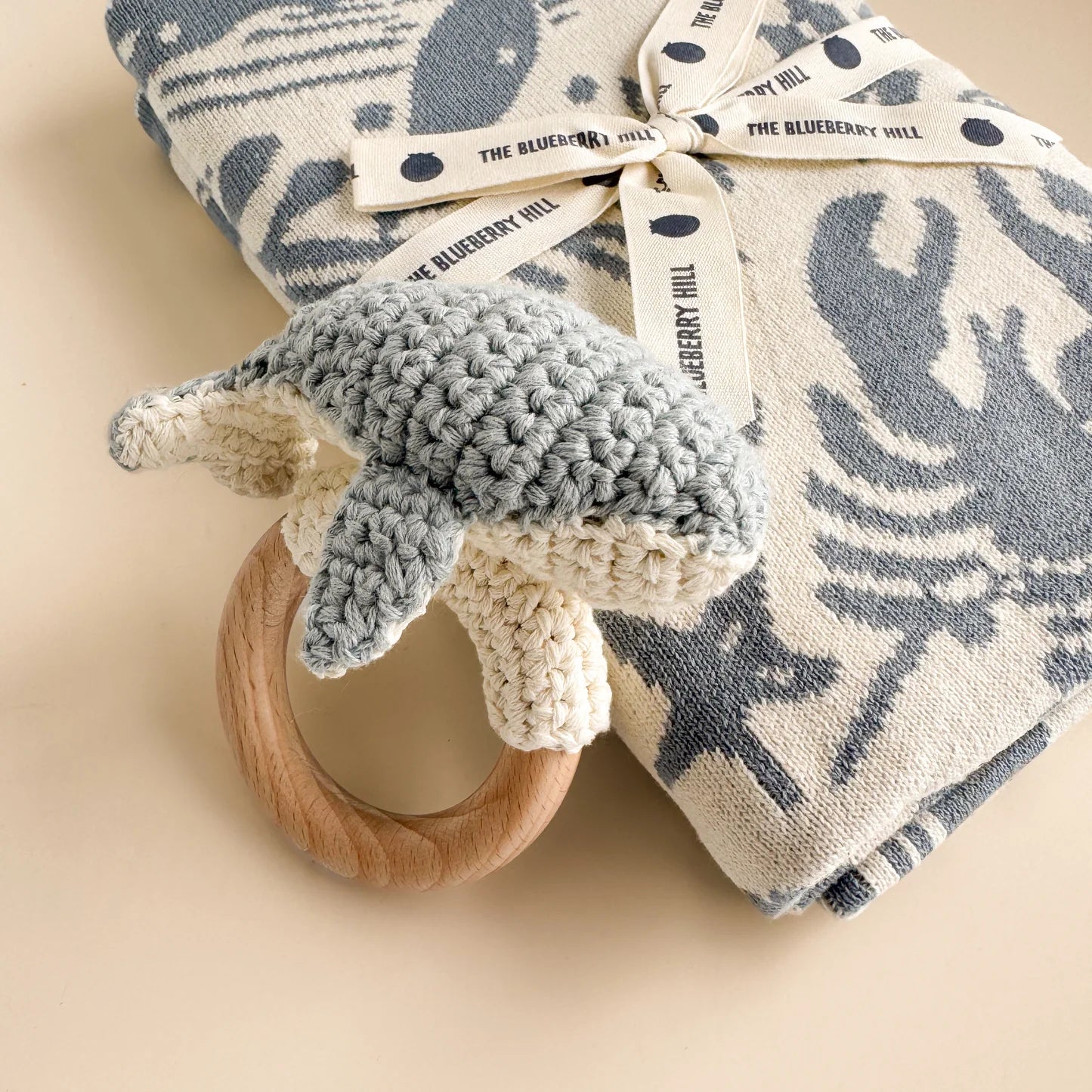 Nautical Blanket/Teether Set