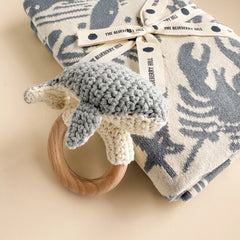 Nautical Blanket/Teether Set