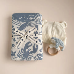 Nautical Blanket/Teether Set